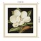 Magnolia Grandiflora 2003 by Jenny Barron Wood Framed Wall Art Print
